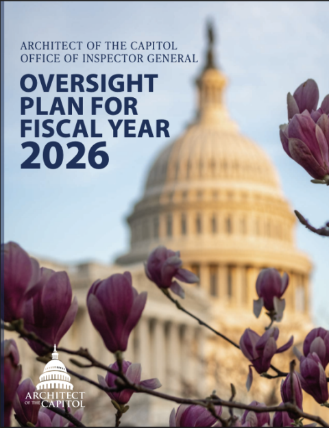 Oversight Plan for Fiscal Year 2026